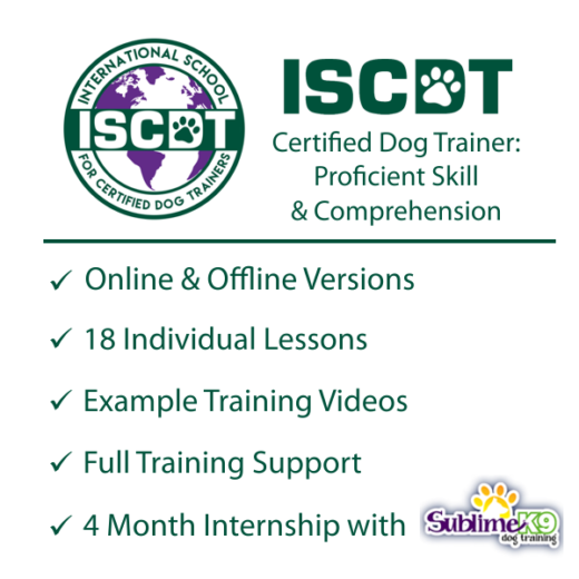 certified-dog-trainer-proficient-skill-comprehension-online-dog