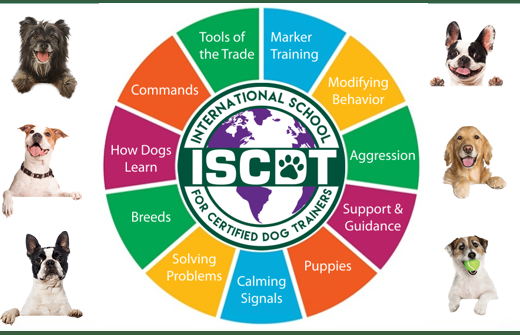 online dog training certification school