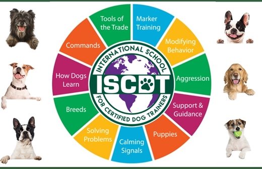 online dog trainer school