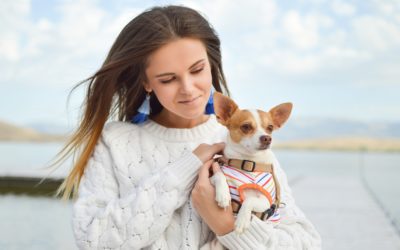 Why Do Dogs Eat Cat Poop?