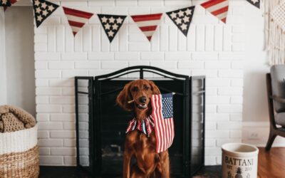 Fourth of July – A Dog’s Worst Holiday