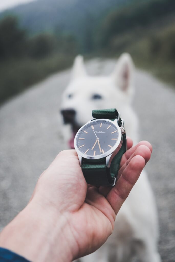 Altering Dog Training Appointments