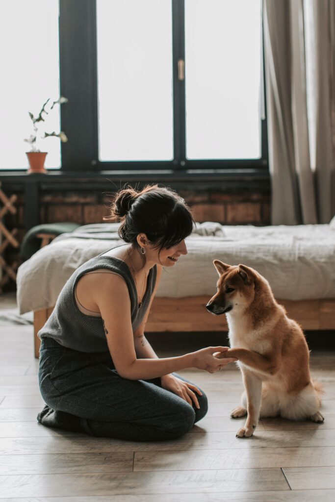 The human side of training