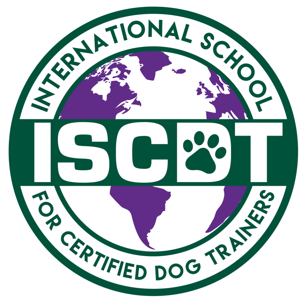 How to choose the best online dog trainer certification program