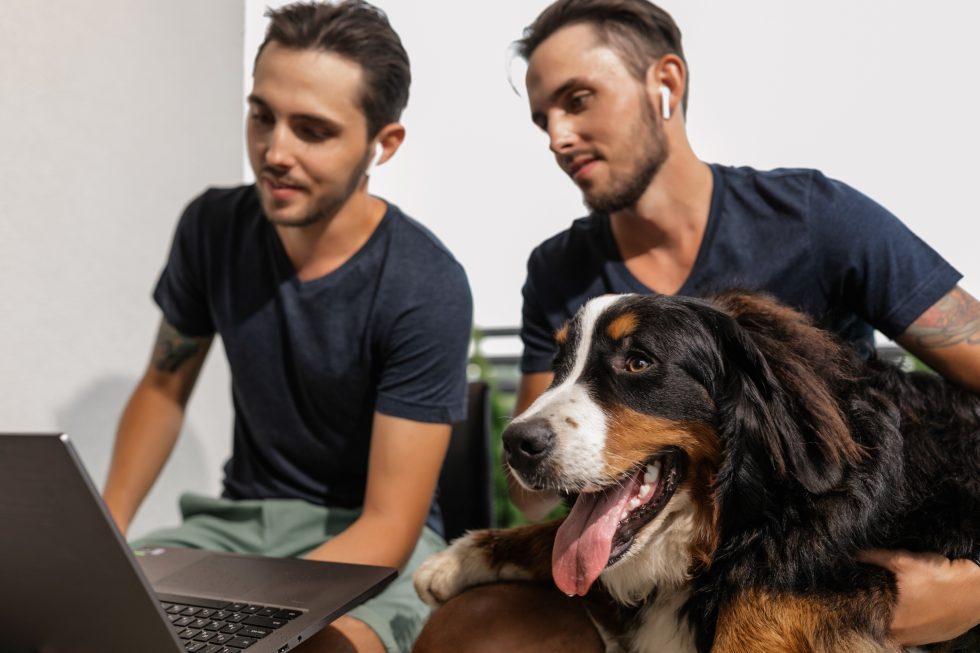 How to Choose the Best Online Dog Trainer Certification Program Online Dog Trainer School