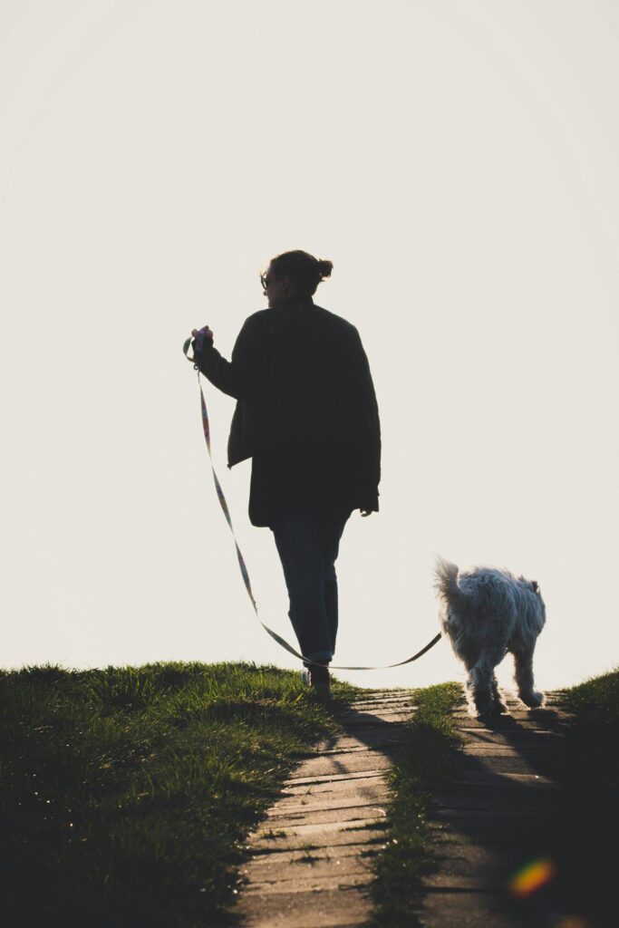 power of using a leash in dog training