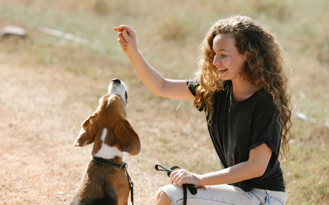 How Subtle Habits Can Weaken Your Dog’s Response.