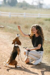 Increasing your dog training confidence