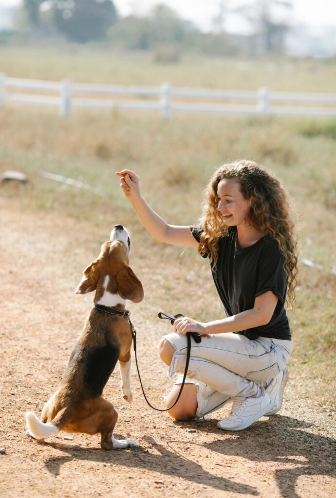 Increasing your dog training confidence