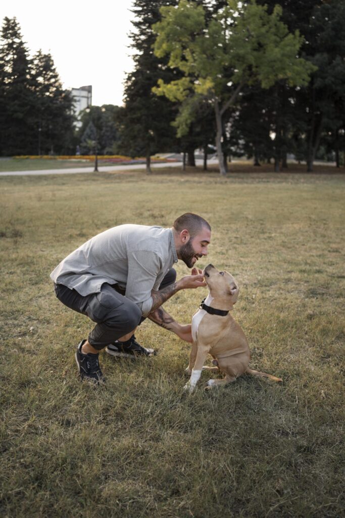Rushing the dog training process
