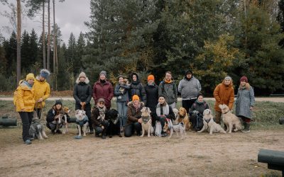 Building Connections in Dog Training: 10 Ways to Combat Professional Isolation