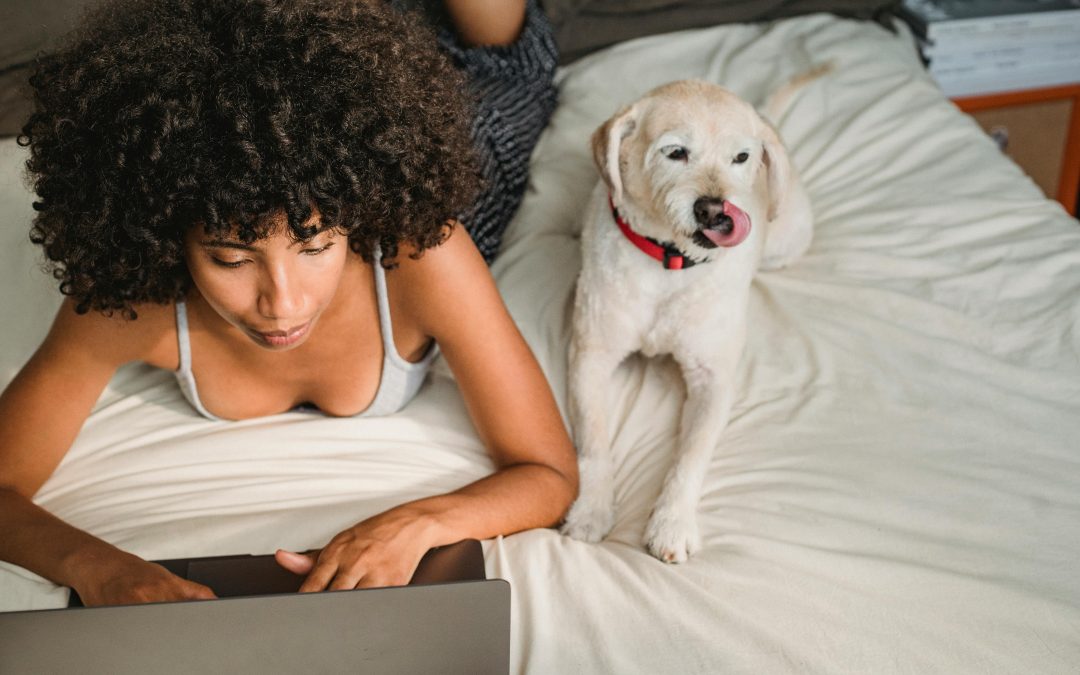 Setting Goals for Your Dog Training Business