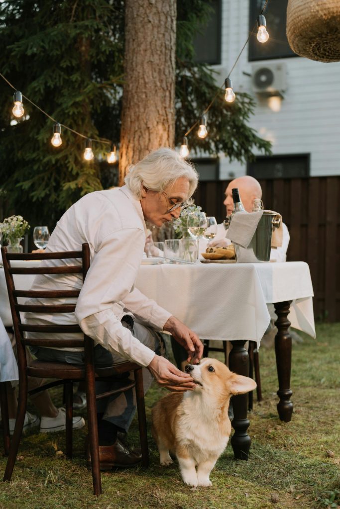7 Human Behaviors That Confuse Dogs